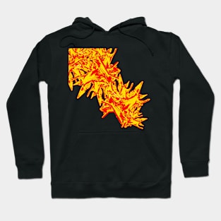 Cascade of Angels Hoodie